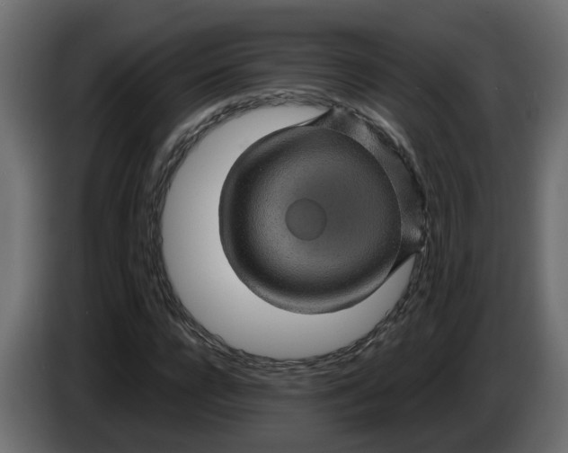 X0000083580920200703021811