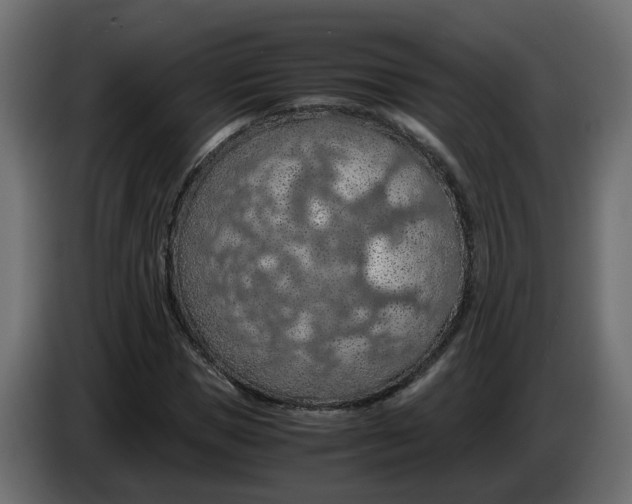 X0000083580921200703021811