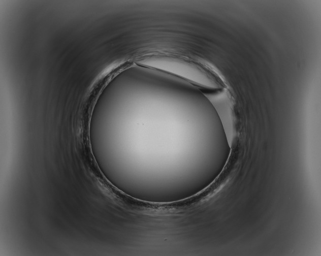 X0000083580922200703021811