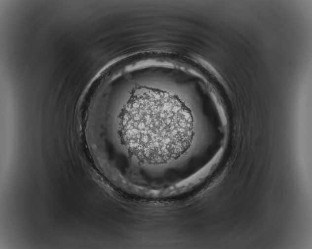 X0000083580923200703021811