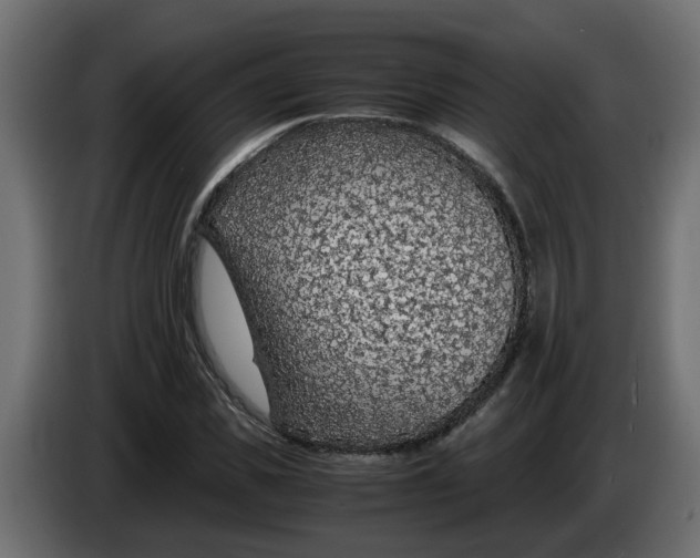 X0000083580925200703021811