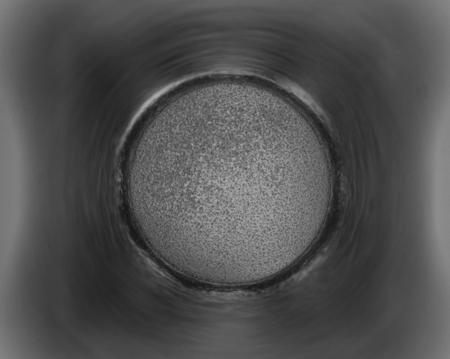 X0000083580926200703021811