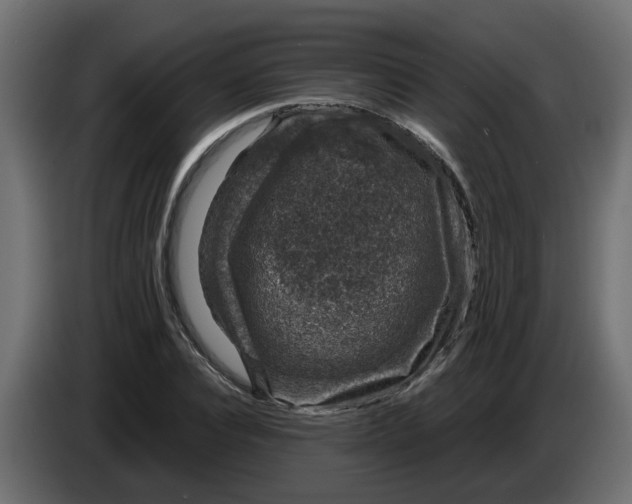 X0000083580928200703021811