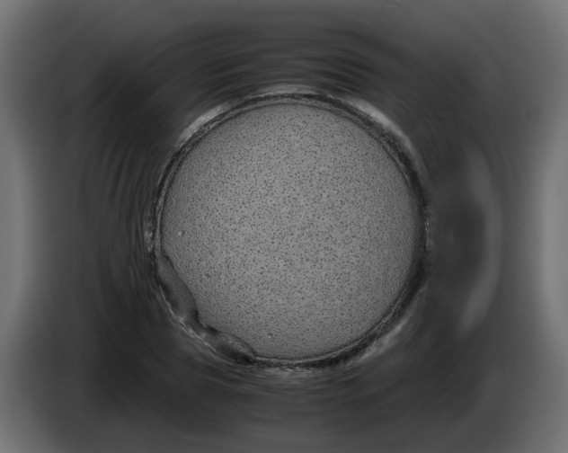 X0000083580929200703021811