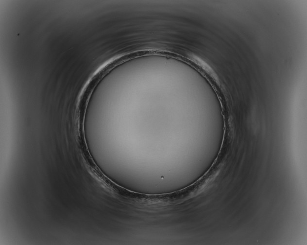 X0000083580931200703021811