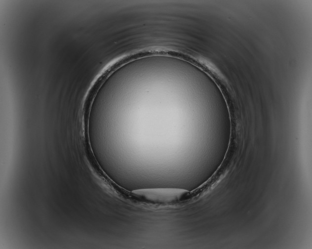 X0000083580934200703021811