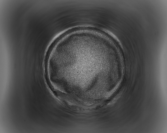 X0000083580935200703021811