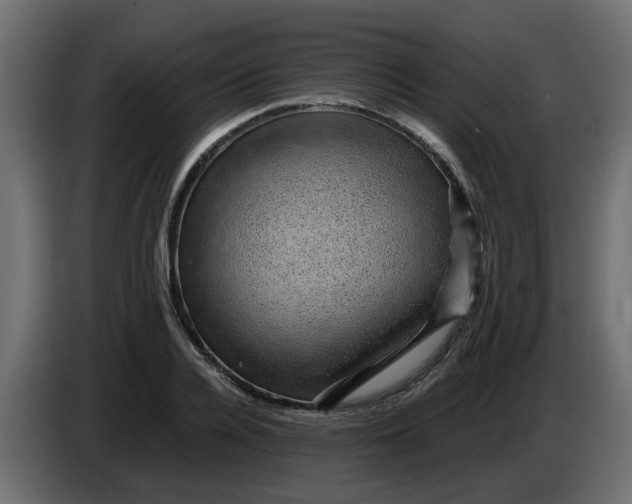 X0000083580936200703021811