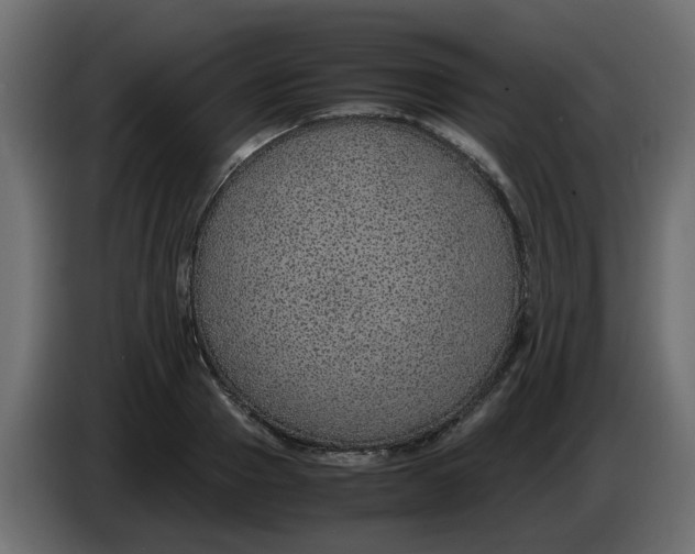 X0000083580937200703021811