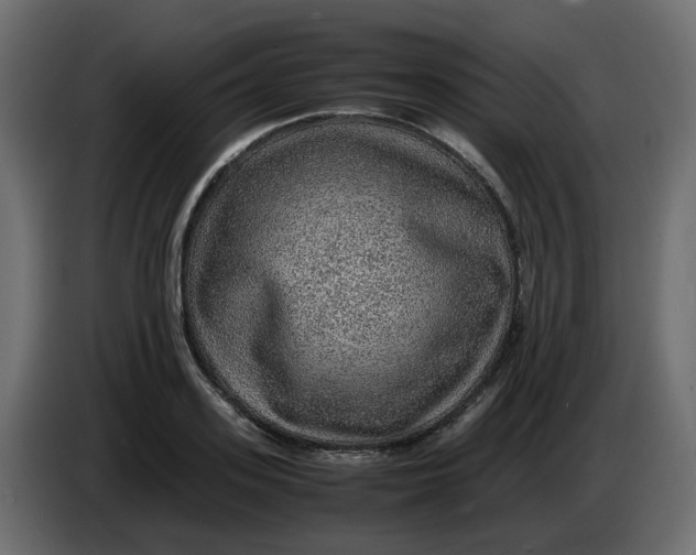 X0000083580939200703021812