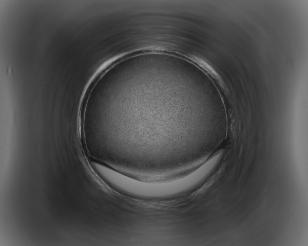 X0000083580940200703021812