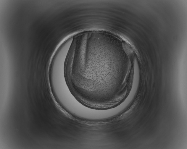 X0000083580942200703021812