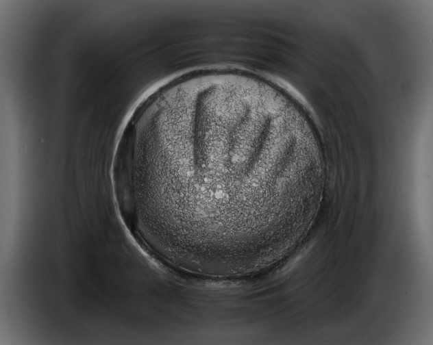 X0000083580943200703021812