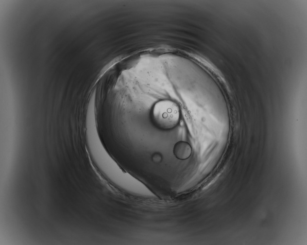 X0000083580945200703021812