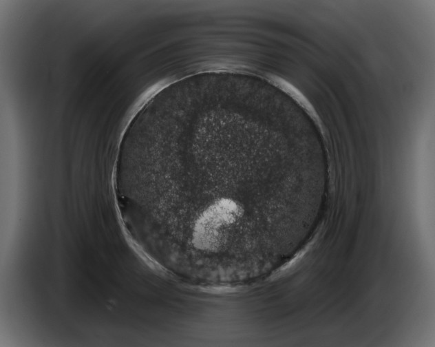 X0000083580946200703021812