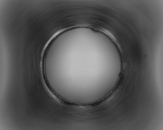 X0000083580947200703021812