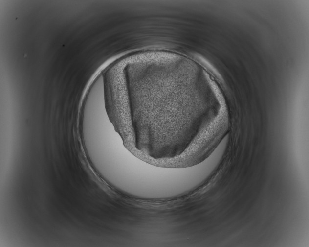 X0000083580948200703021812