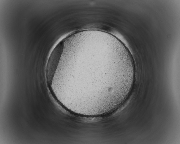 X0000083580949200703021812