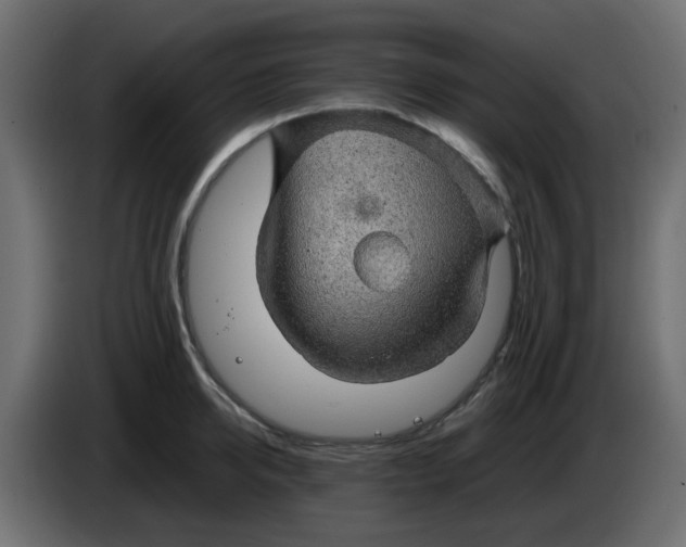 X0000083580950200703021812