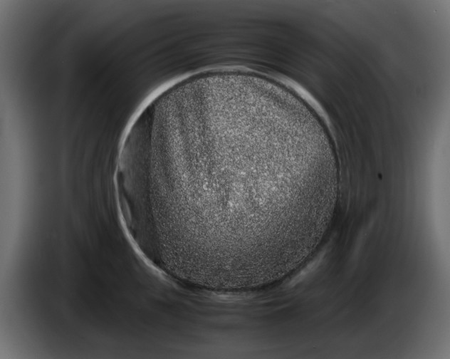 X0000083580951200703021812