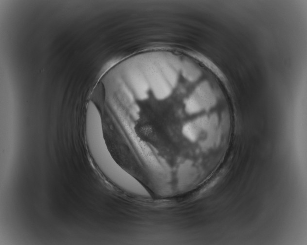 X0000083580953200703021812