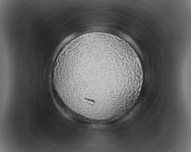 X0000083580954200703021812