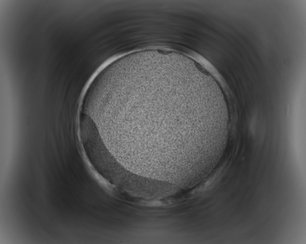 X0000083580955200703021812