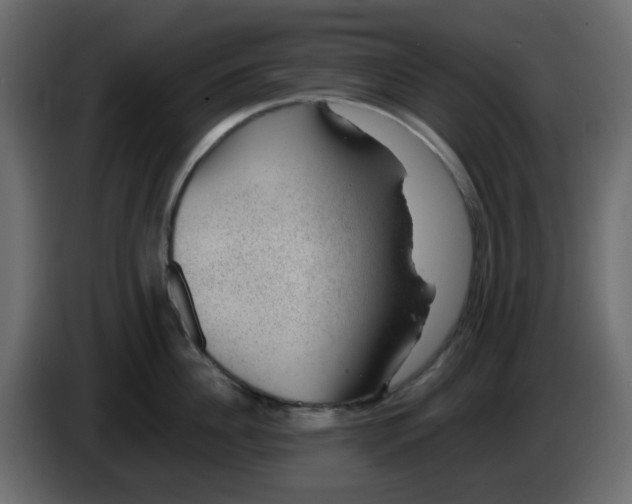 X0000083580956200703021812