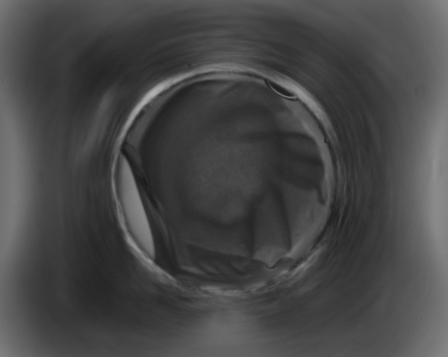 X0000083580958200703021812