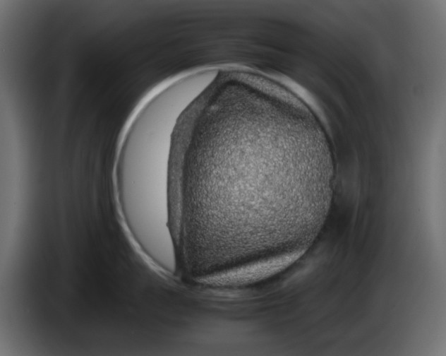 X0000083580959200703021812