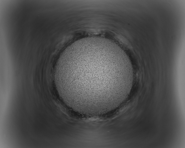 X0000083580961200703021811