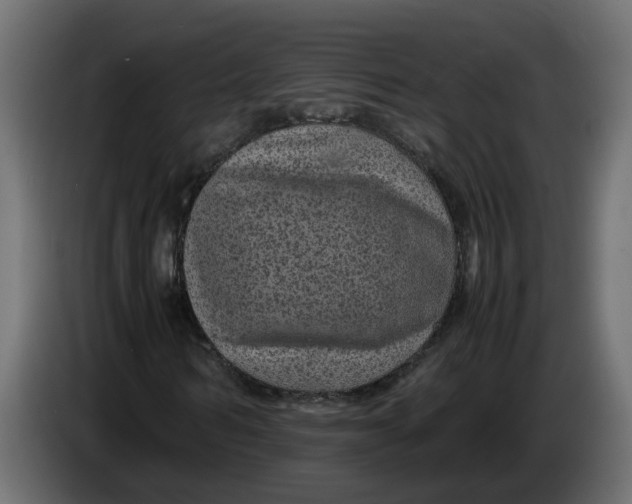 X0000083580962200703021811