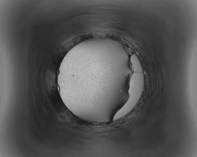 X0000083580964200703021811