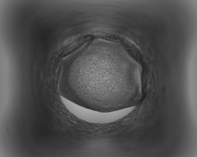 X0000083580965200703021811