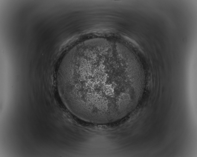 X0000083580966200703021811