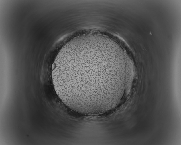 X0000083580967200703021811