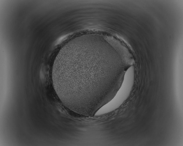 X0000083580968200703021811