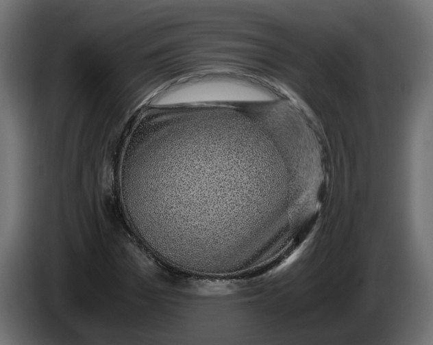 X0000083580969200703021811