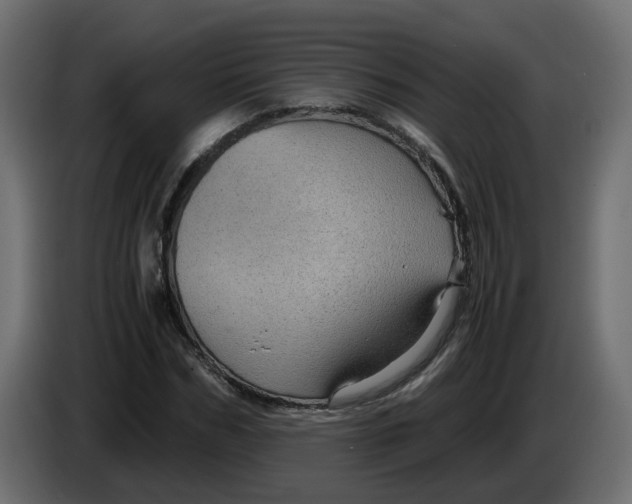 X0000083580970200703021811