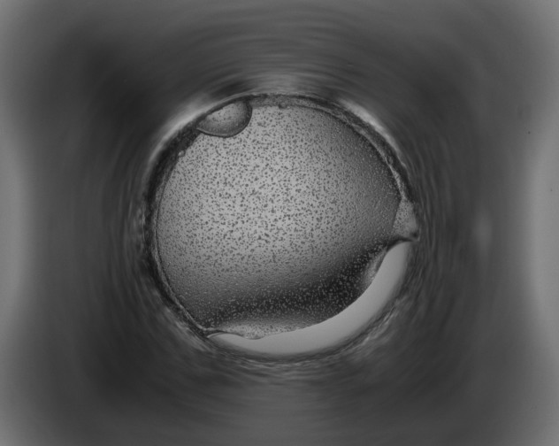 X0000083580971200703021811