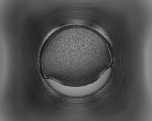 X0000083580972200703021811