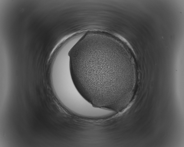 X0000083580973200703021811