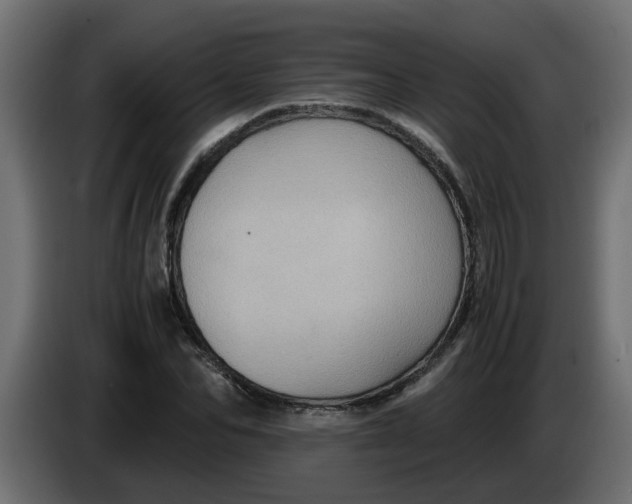 X0000083580974200703021811