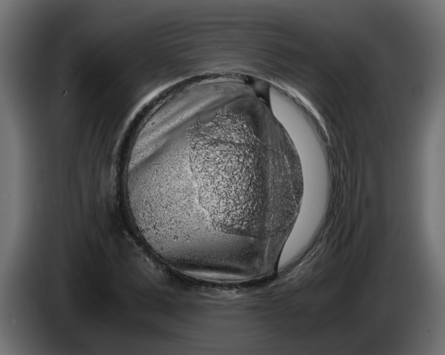 X0000083580975200703021811