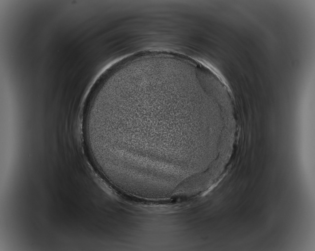 X0000083580976200703021811