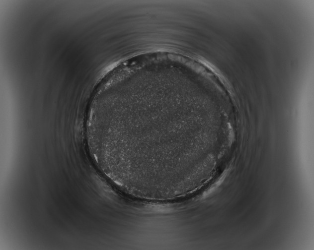 X0000083580977200703021811