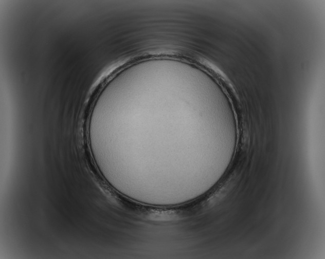 X0000083580978200703021811