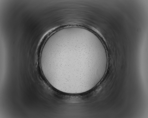 X0000083580979200703021811