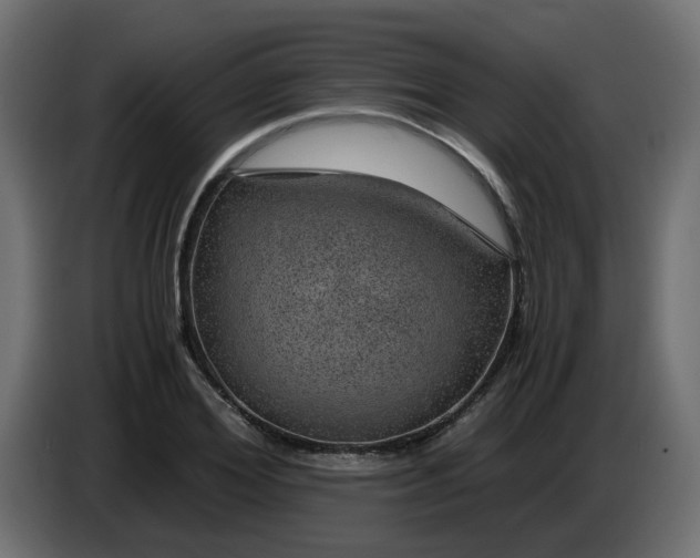 X0000083580980200703021811