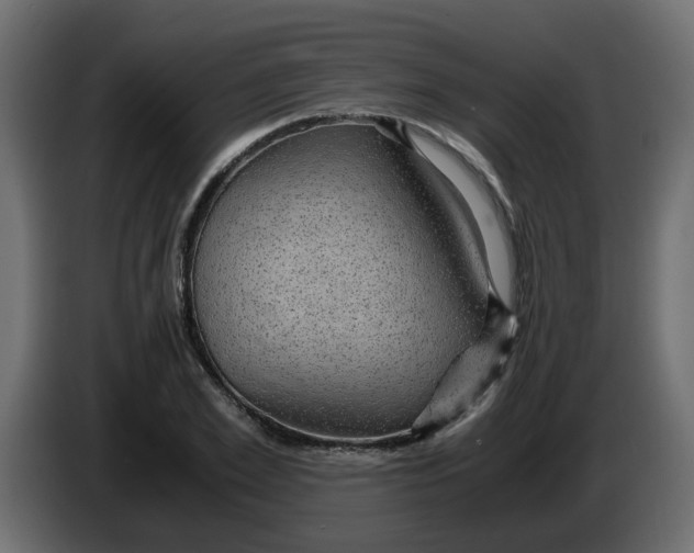 X0000083580981200703021811